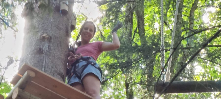 שאמוני והאלפים הצרפתיים